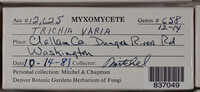 Image Associated With the Occurence